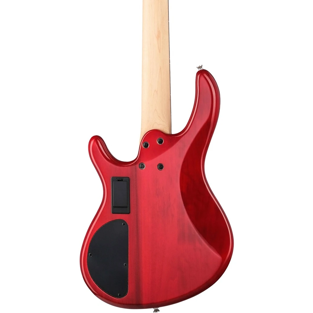 Бас-гитара Cort Action Bass V Plus TR WBAG