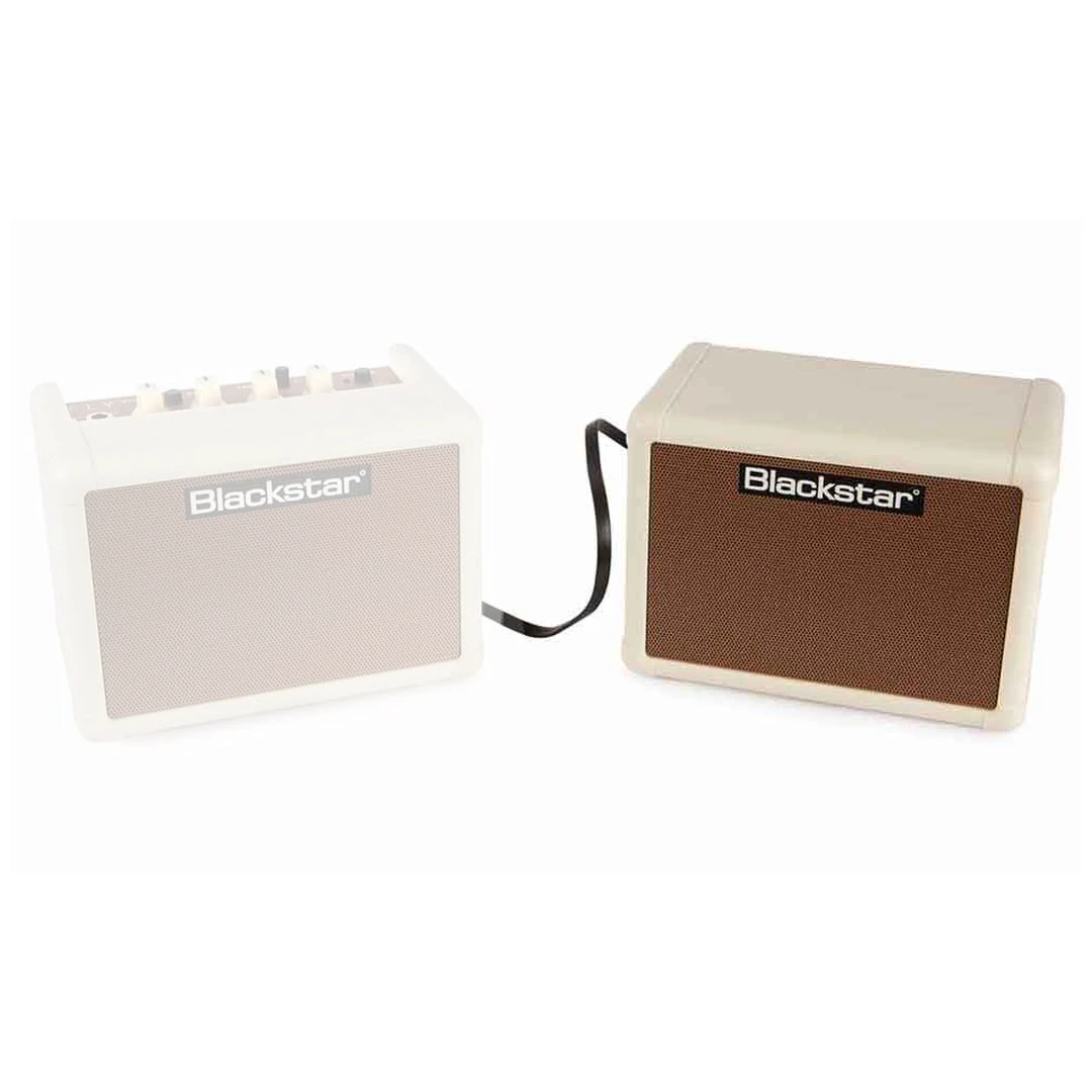 Кабинет Blackstar Fly 103 Acoustic Extension