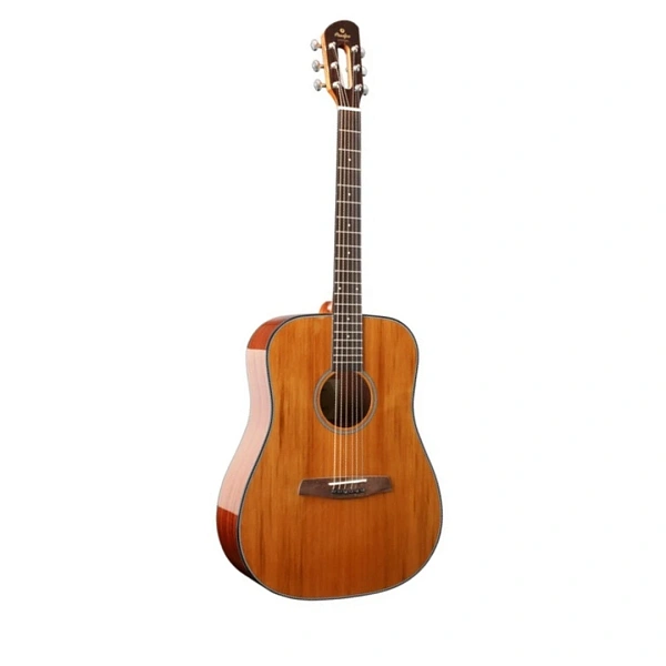 Акустическая гитара Prodipe SD200
