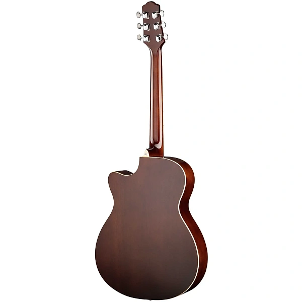 Акустическая гитара Naranda TG120CNA