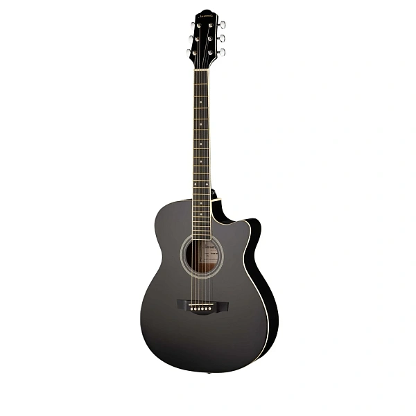 Акустическая гитара Naranda TG120CBK