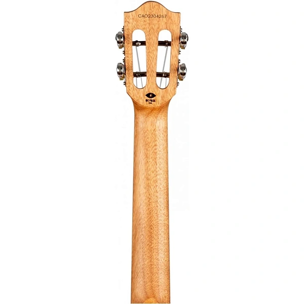 Укулеле Flight Iris Baritone BK