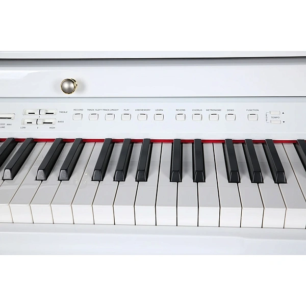 Цифровой рояль Ringway GDP-6320 Polish White
